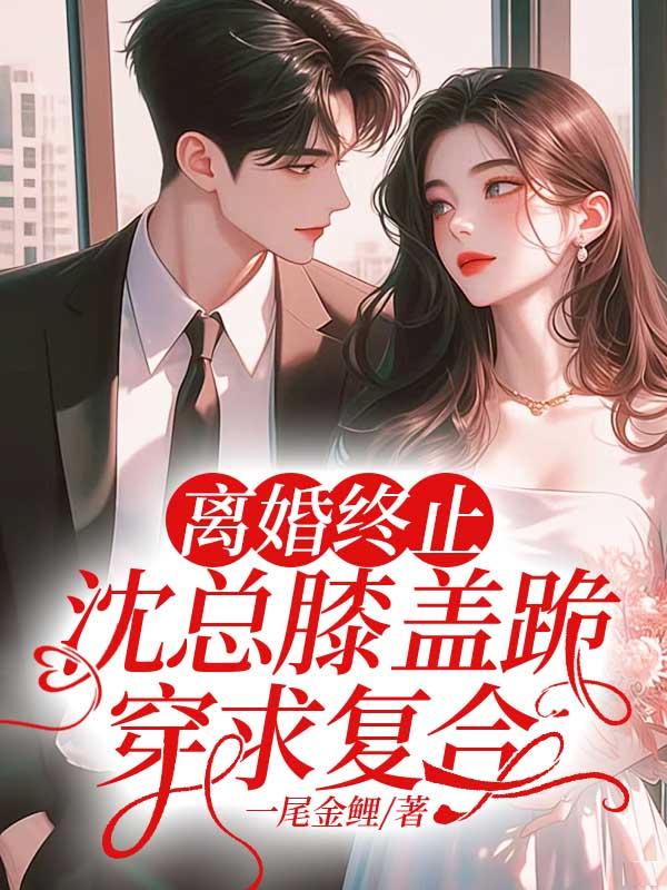 离婚无效沈婉辞免费观看全集