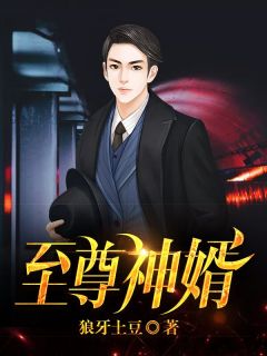 至尊神婿叶昊免费阅读完整版