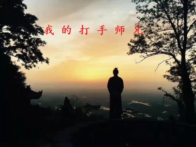 我的打手师兄